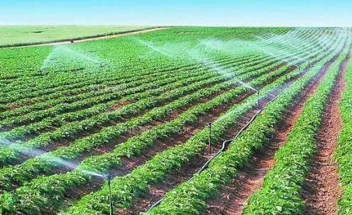 我想看操B农田高 效节水灌溉